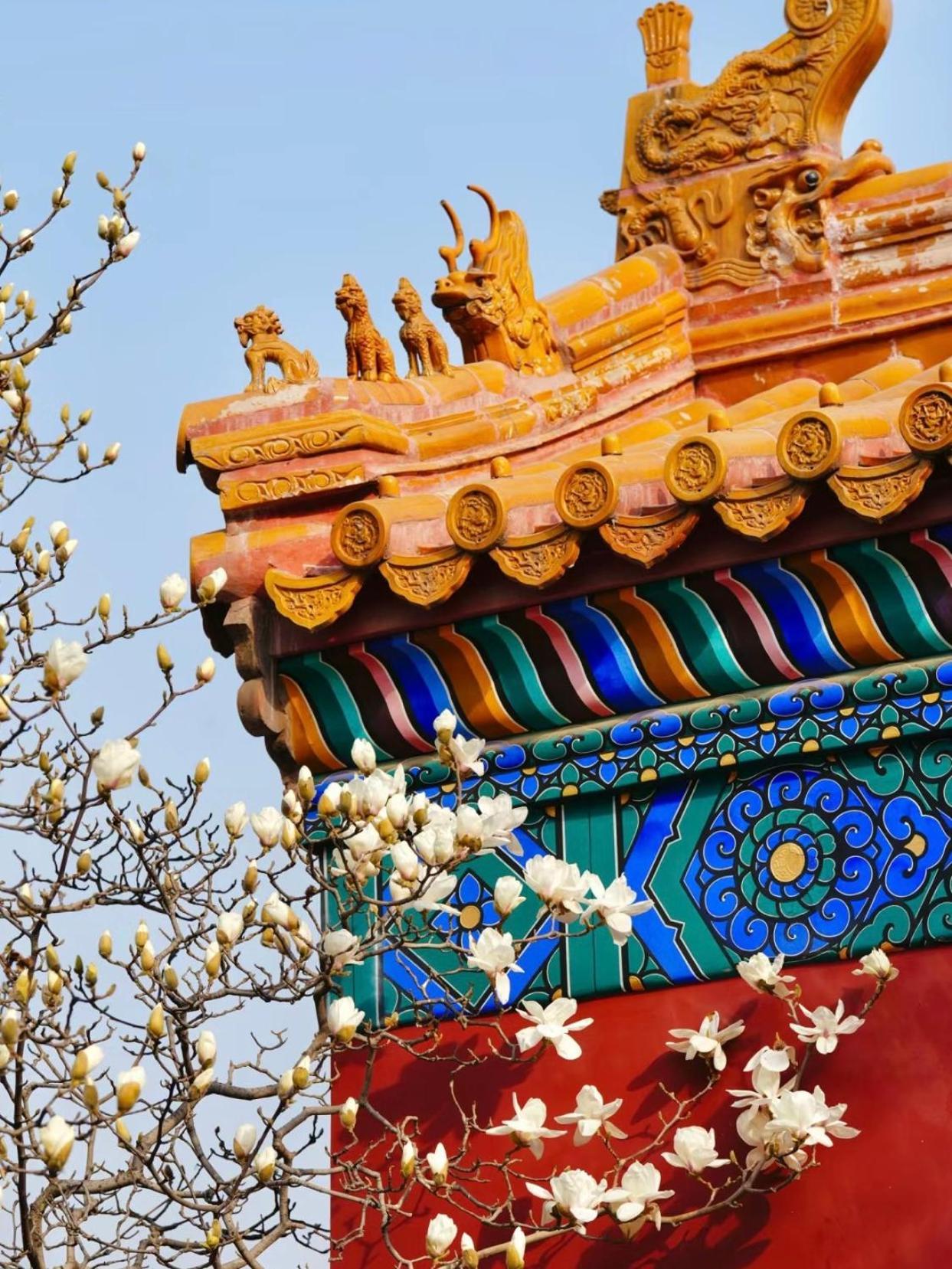 Happy Dragon Courtyard- Newly Renovated With French Windows, Near Tian'Anmen Forbidden City,Lama Temple And Heaven Temple, 3Minutes Walk From Subway,Fluent English Speaking With Tourist Sights Tickets Service ,Free Coffee &Laundry Service Peking Exteriér fotografie
